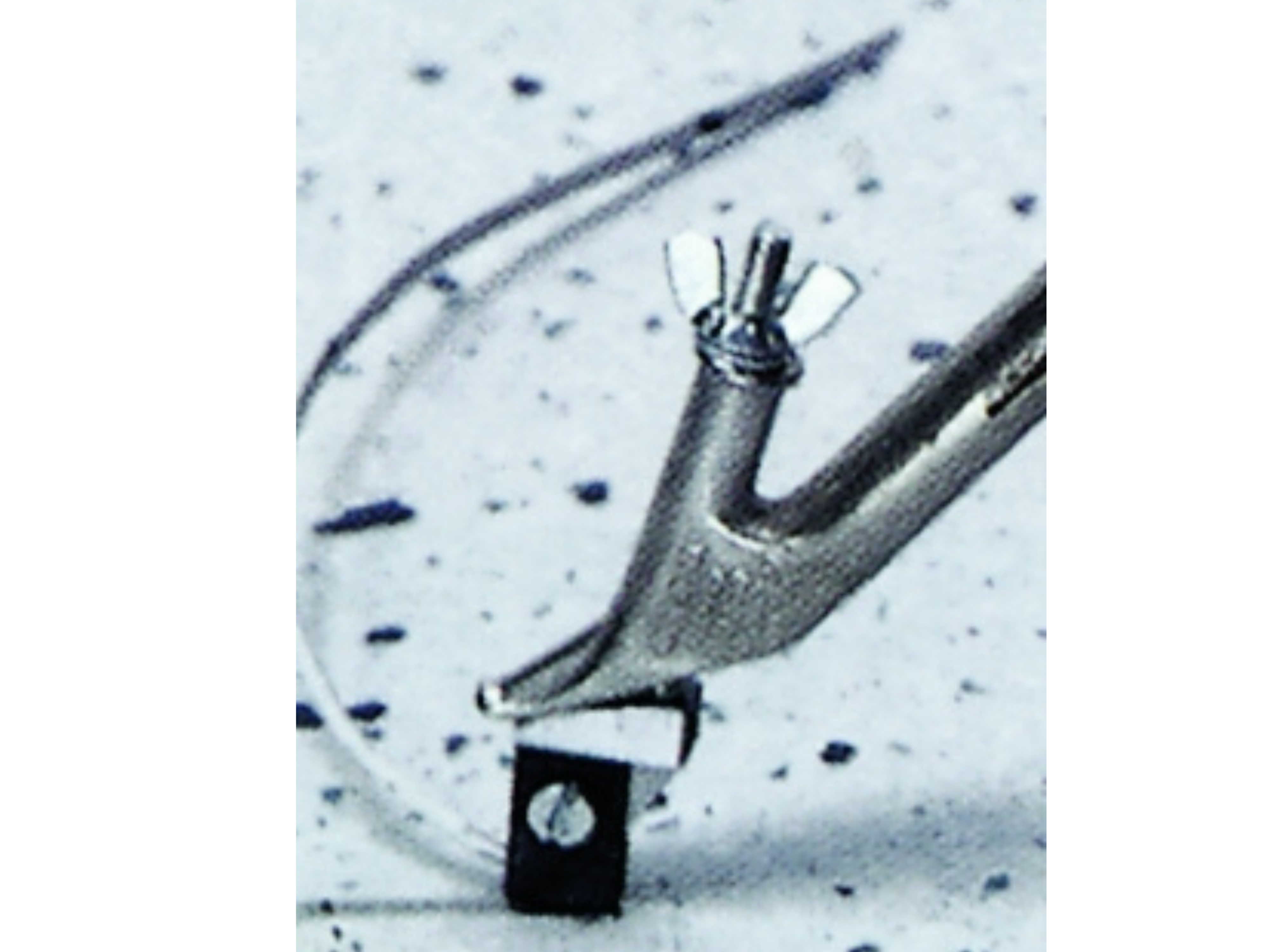 Grooving tools